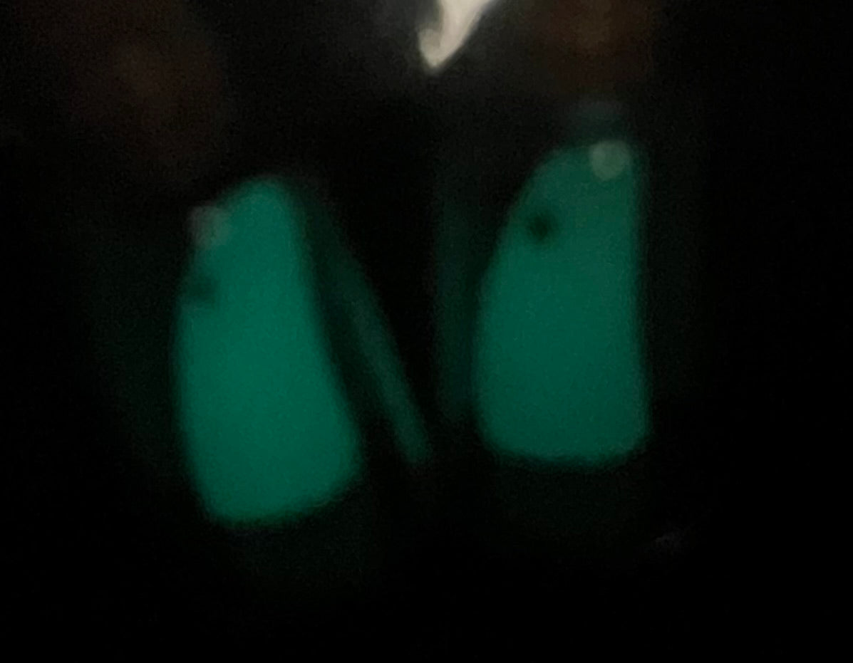 Glow in the Dark Ghosties Earrings